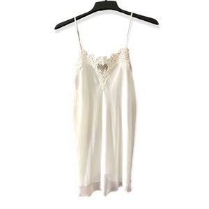Vintage Dentelle Sheer Lace Embroidered Chemise, Size Large.